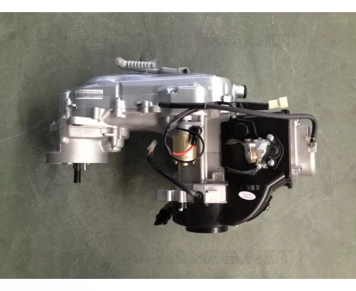 MOTORE / CARBURATORE