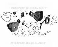 ACCENSIONE / CARTER