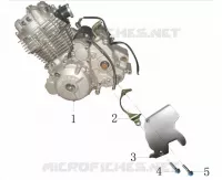 MOTORE / COPERCHIO PIGNONE ANTERIORE