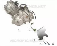 MOTORE