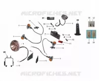 FANALE POSTERIORE / FARO / FRECCIA LAMPEGGIATORE