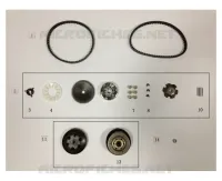 CINGHIA / VARIATORE