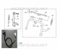CAVALLETTO