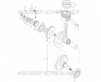 ALBERO MOTORE
