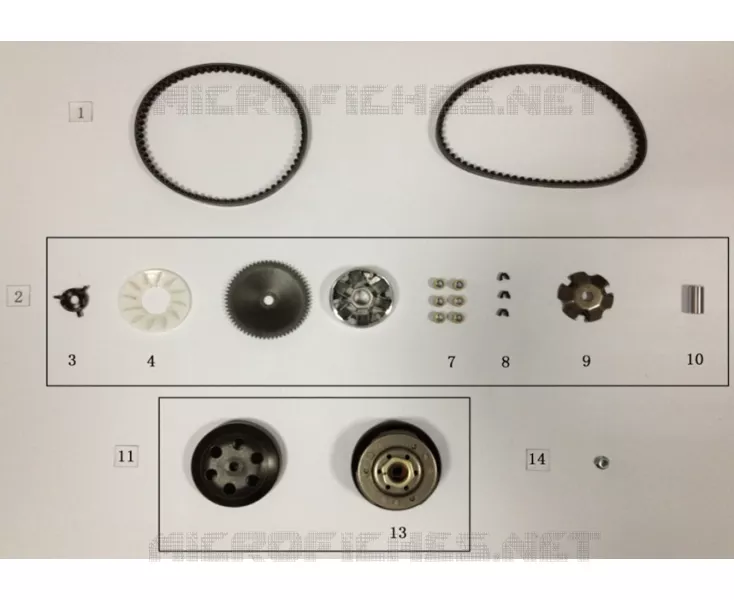 CINGHIA / VARIATORE