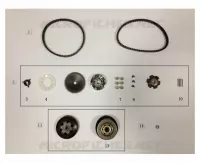 CINGHIA / VARIATORE