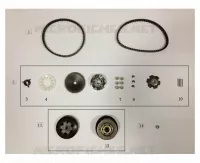 CINGHIA / VARIATORE