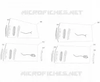 FRECCIA LAMPEGGIATORE