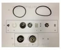 CINGHIA / VARIATORE