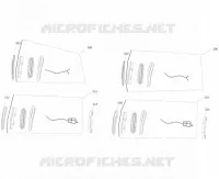 FRECCIA LAMPEGGIATORE