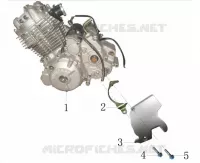 MOTORE