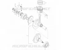 ALBERO MOTORE
