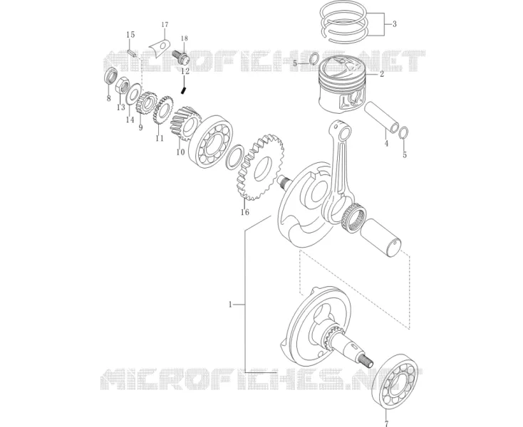 ALBERO MOTORE