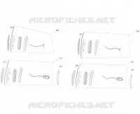 FRECCIA LAMPEGGIATORE