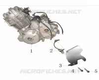 MOTORE