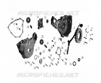 ACCENSIONE / CARTER