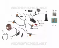 FANALE POSTERIORE / FARO / FRECCIA LAMPEGGIATORE