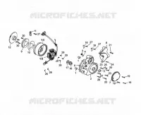 ACCENSIONE / CARTER