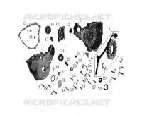 ACCENSIONE / CARTER